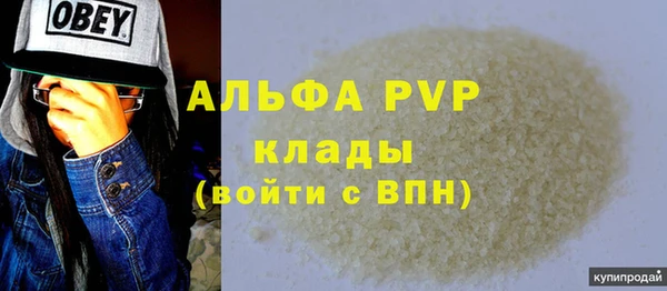 гашик Бородино