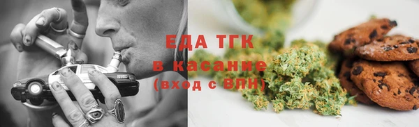 гашик Бородино